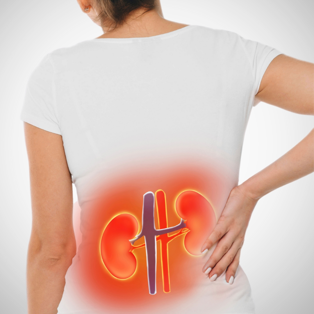  Urology & Nephrology Range
